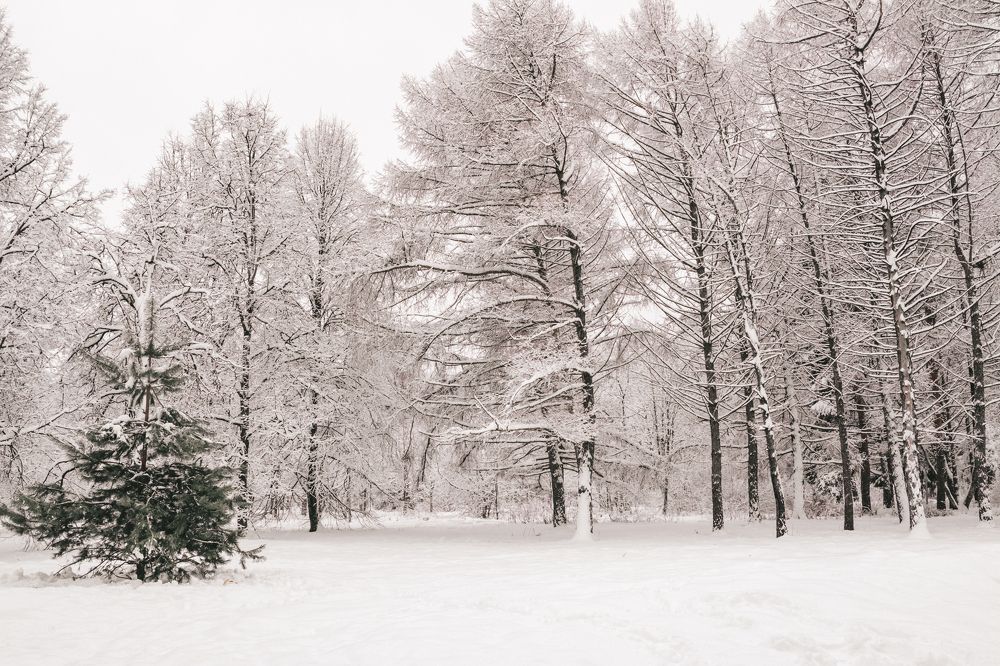 Photograph by Dmitriy Vargaz