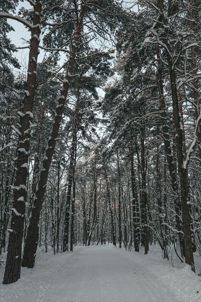 Photograph by Dmitriy Vargaz