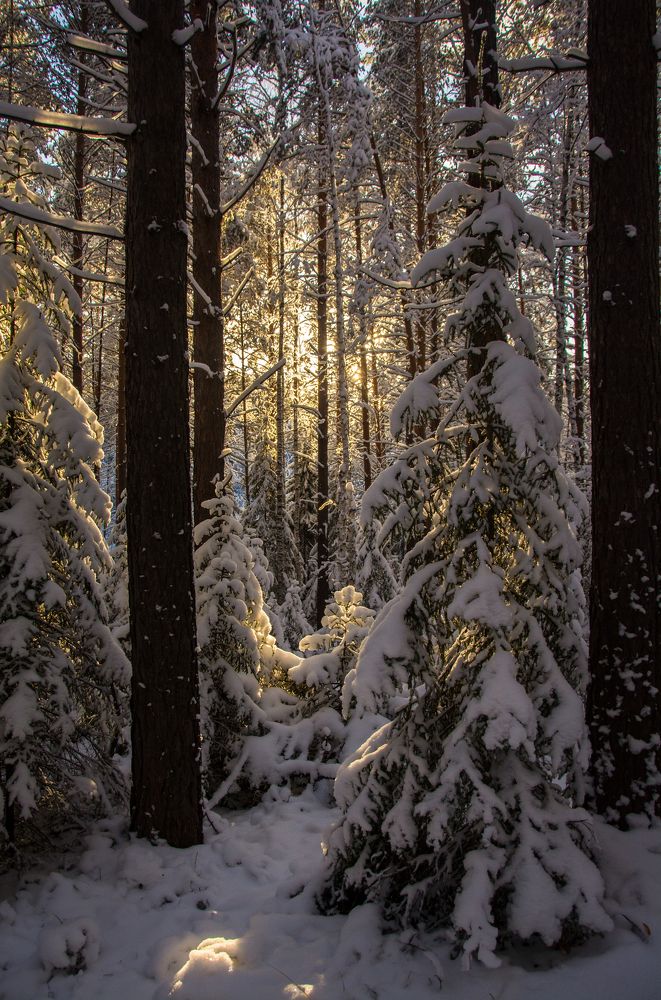 Photograph by Света Назарова