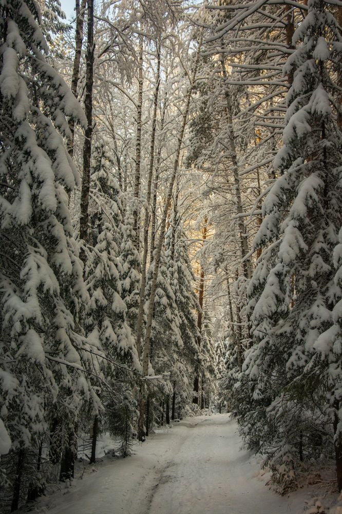 Photograph by Света Назарова