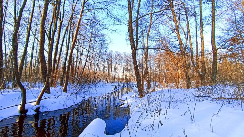 Photograph by Татьяна Евгеньевна
