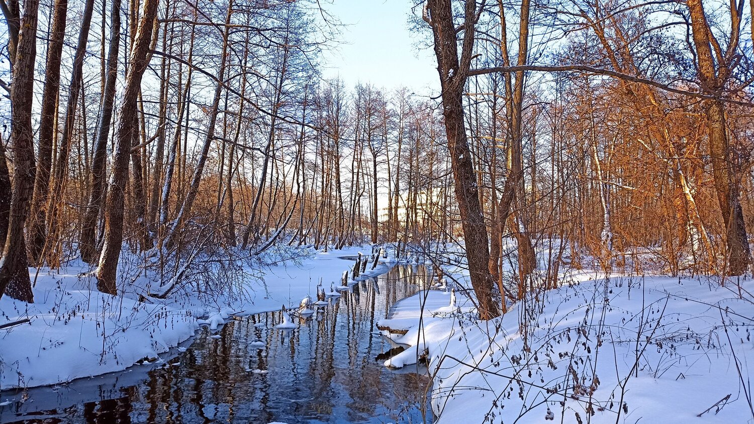 Photo #10012135