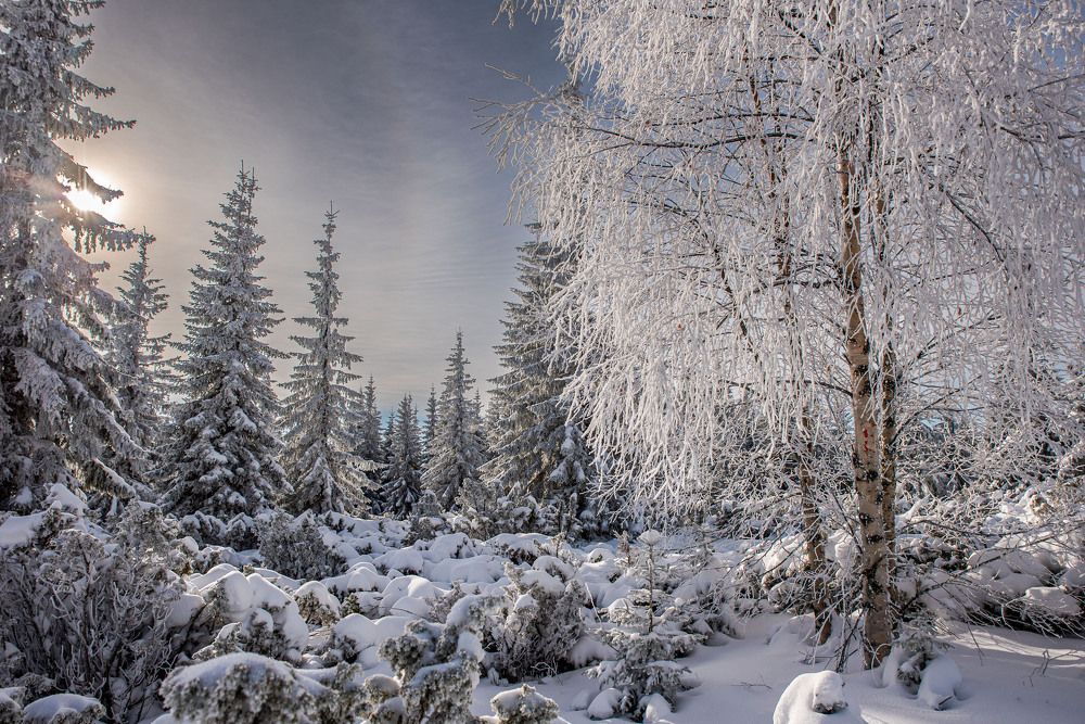 Photograph by levi bagy