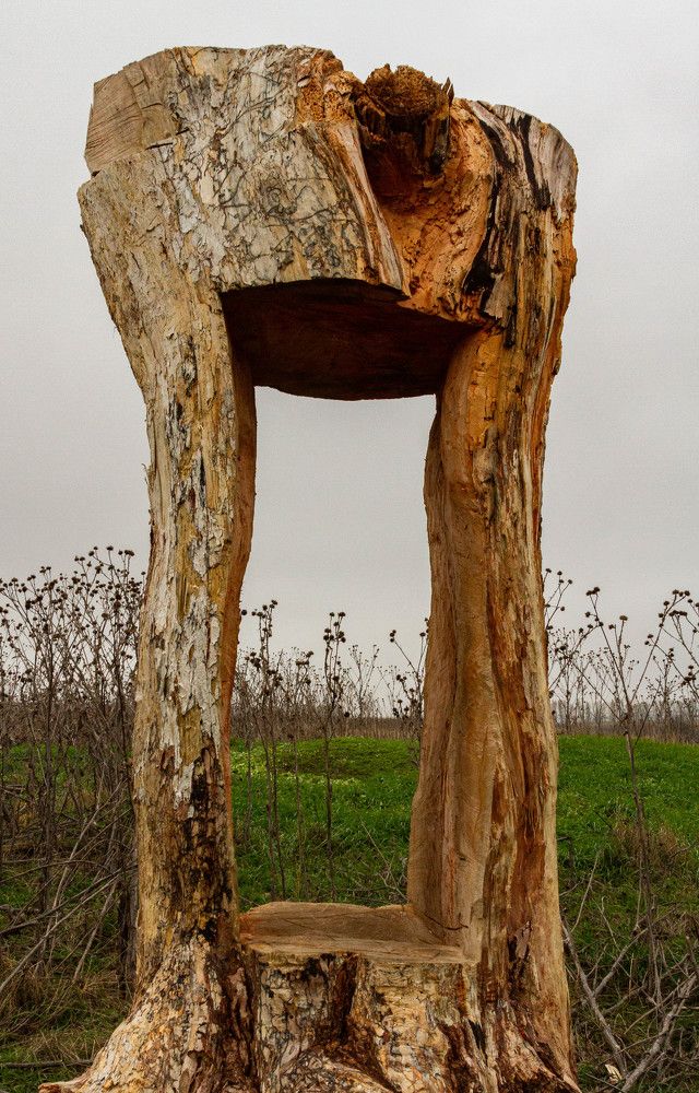 Фотография автора Алексей Тимофеев