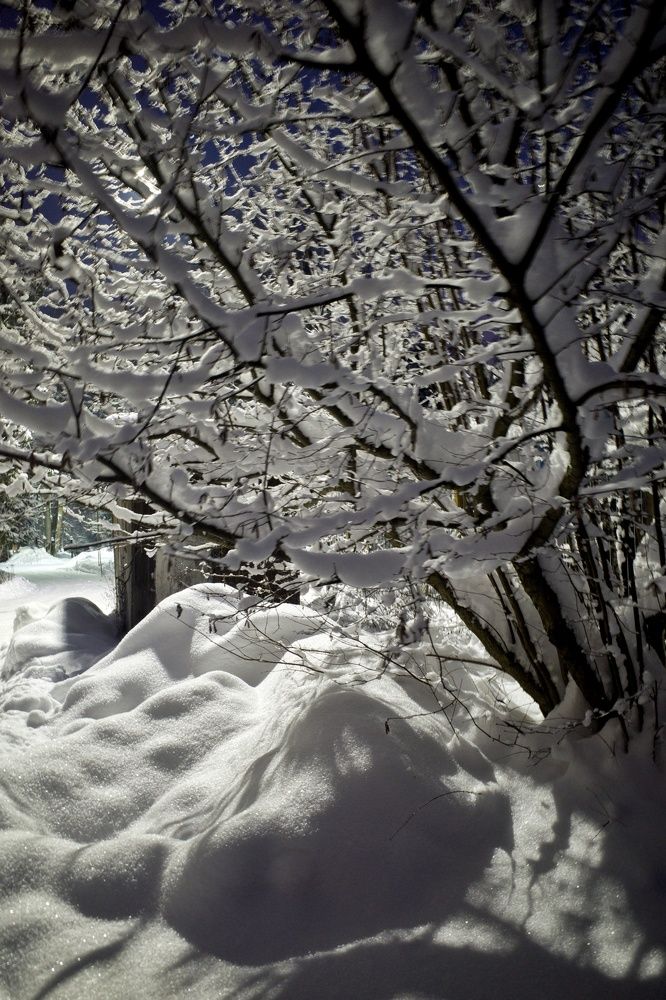 Photograph by Ирина Шилина