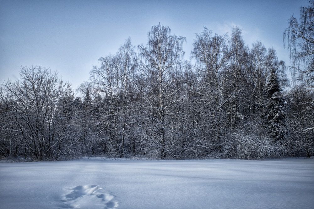 Photograph by Ирина Шилина