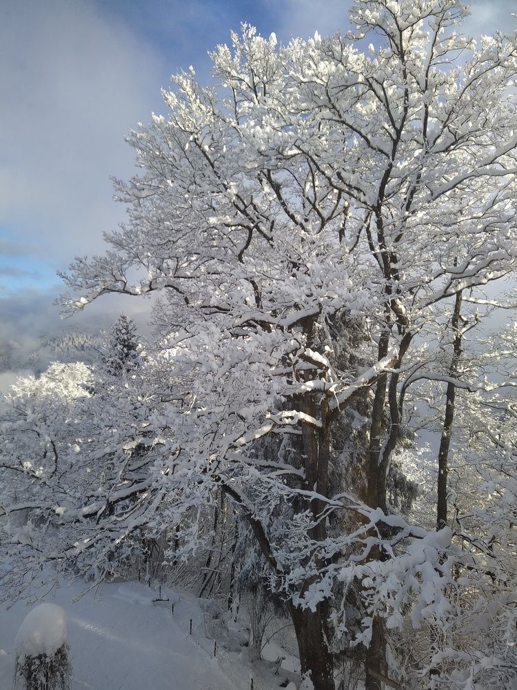 Фотография автора Inna Osminina