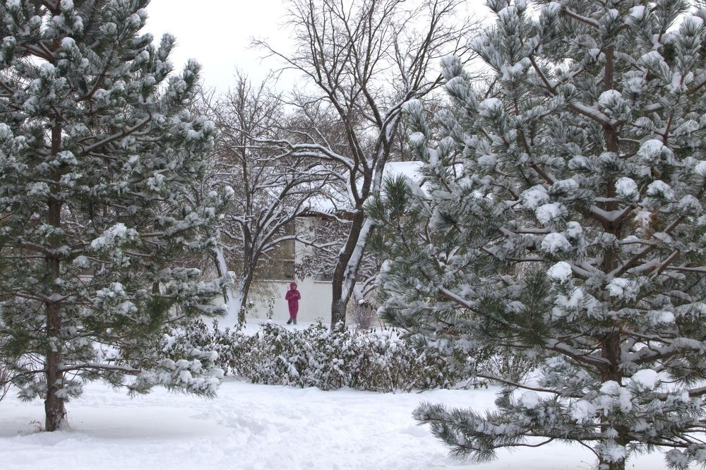 Photograph by Марина