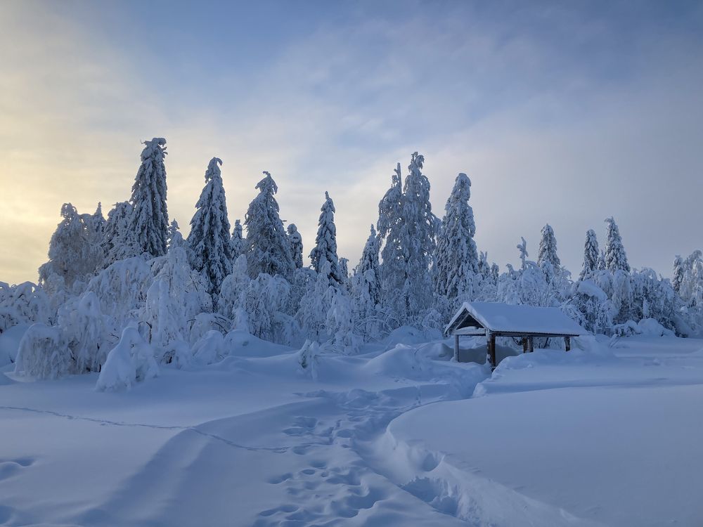 Photograph by Светлана Колышева