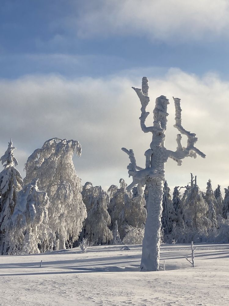 Photograph by Светлана Колышева