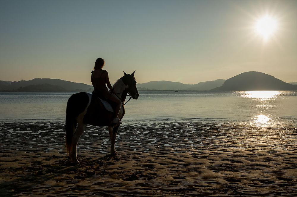 Фотография автора Alicia Mate