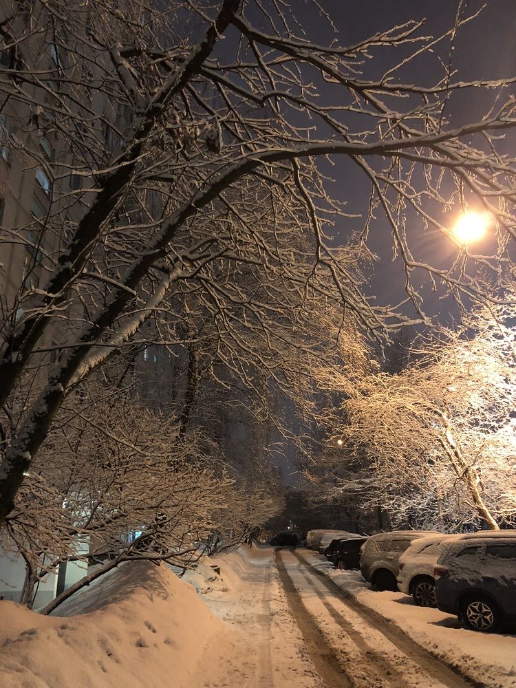 Photograph by Svet