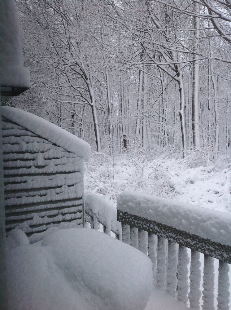 Photo #10012342