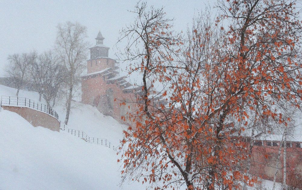 Оттенки красного в снегопад.
