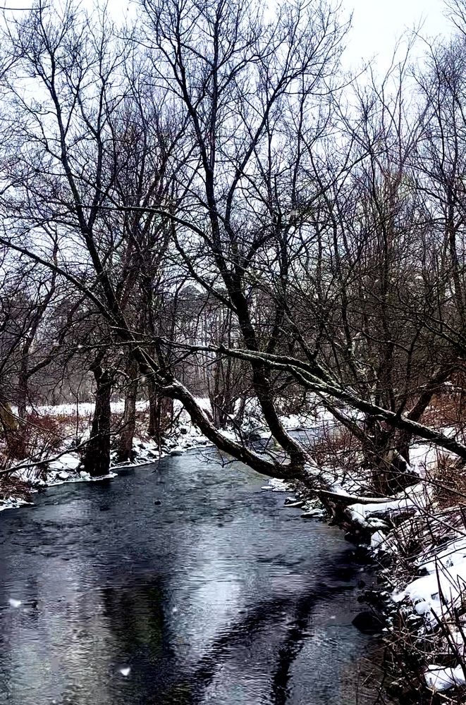 Photograph by Márcio Garcia