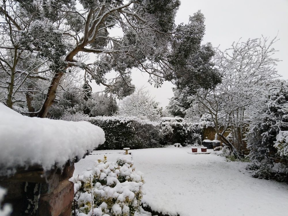 Photo #10012487