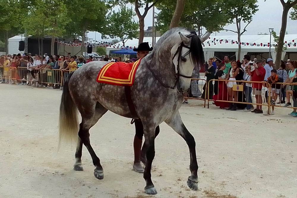 Photograph by Sergio Oleksenko