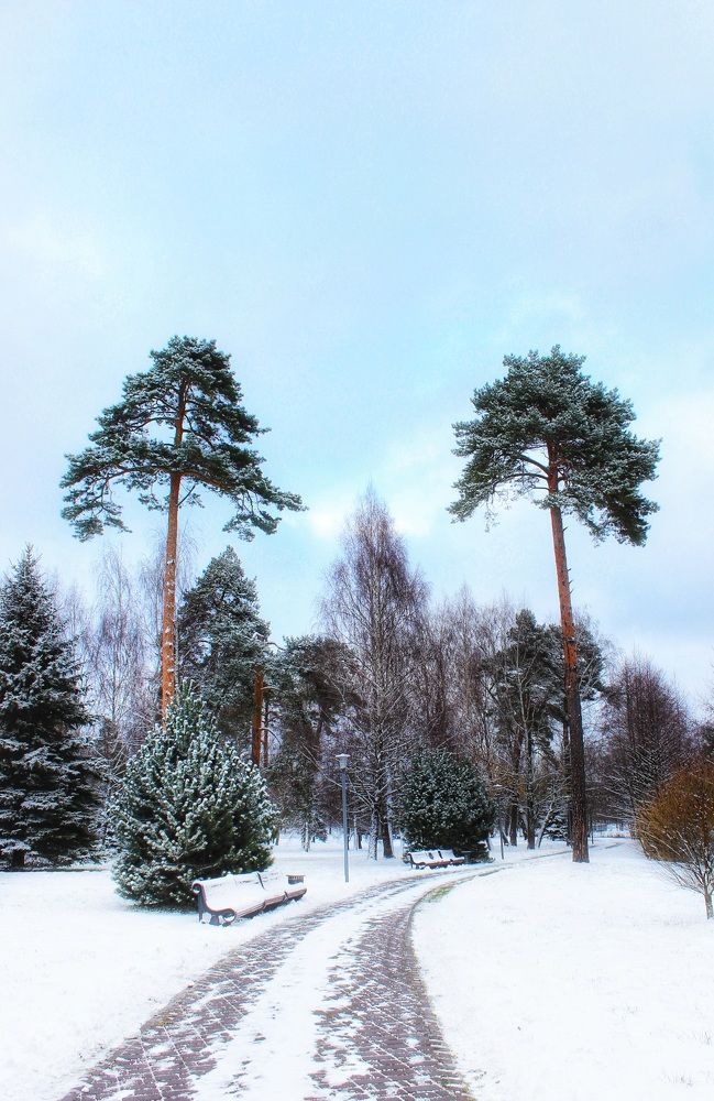 Photograph by Татьяна Сычёва