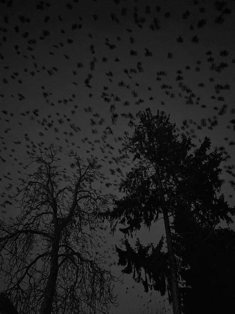 Photograph by Catalina Sirbu