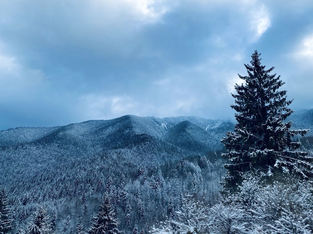 Photograph by Catalina Sirbu