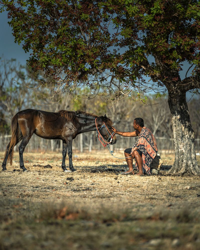 Photograph by Maria Aulia Sandjaja