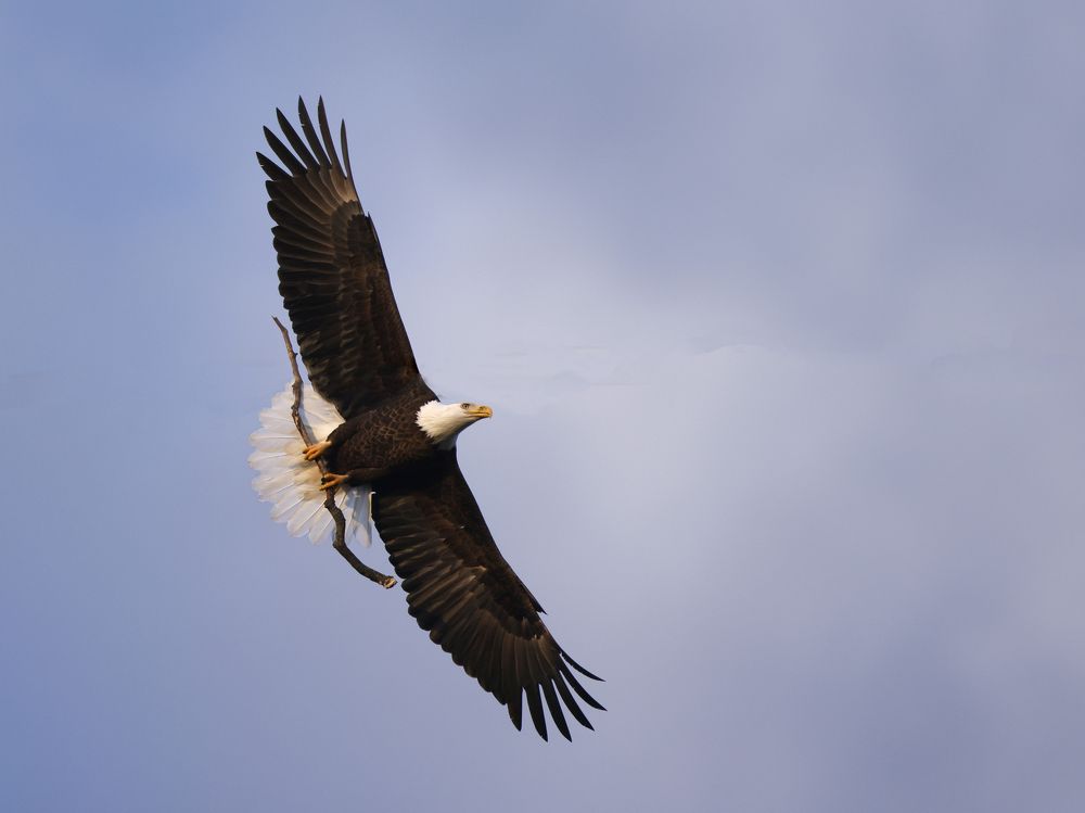 Фотография автора Mark Cavanah