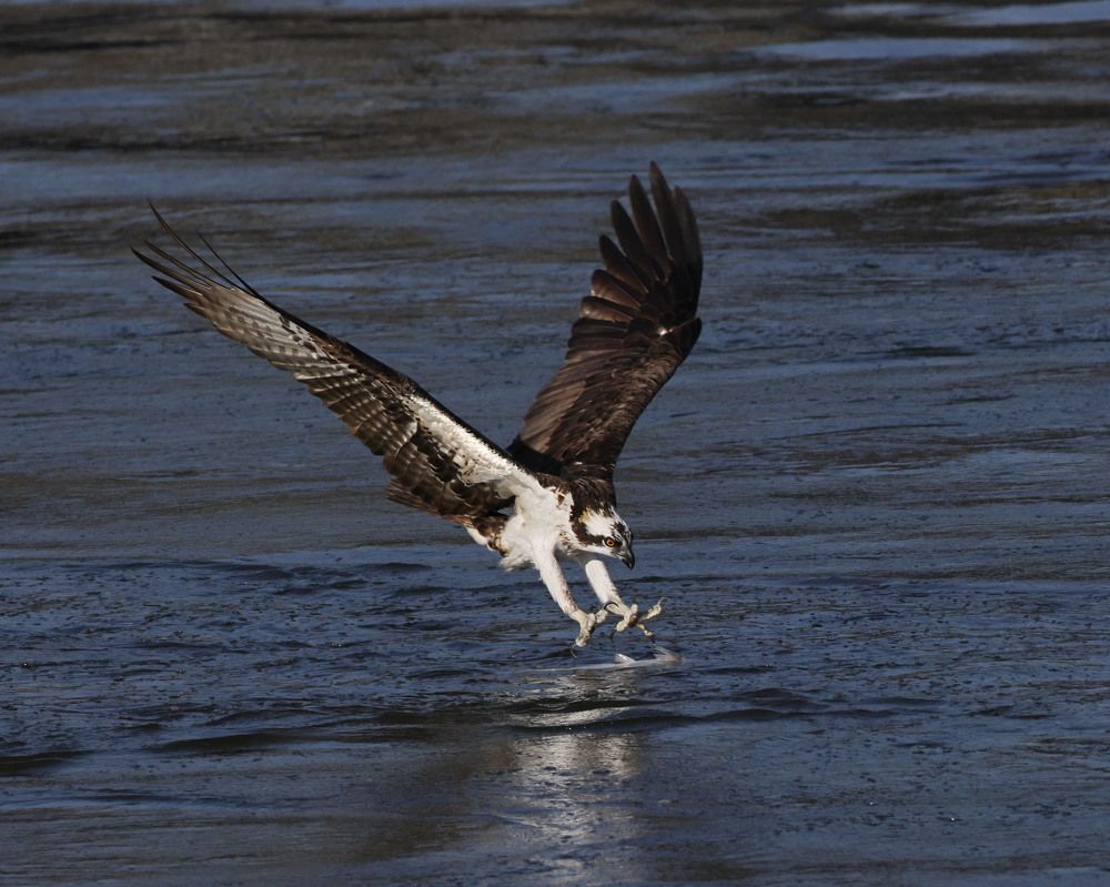 Фотография автора Mark Cavanah