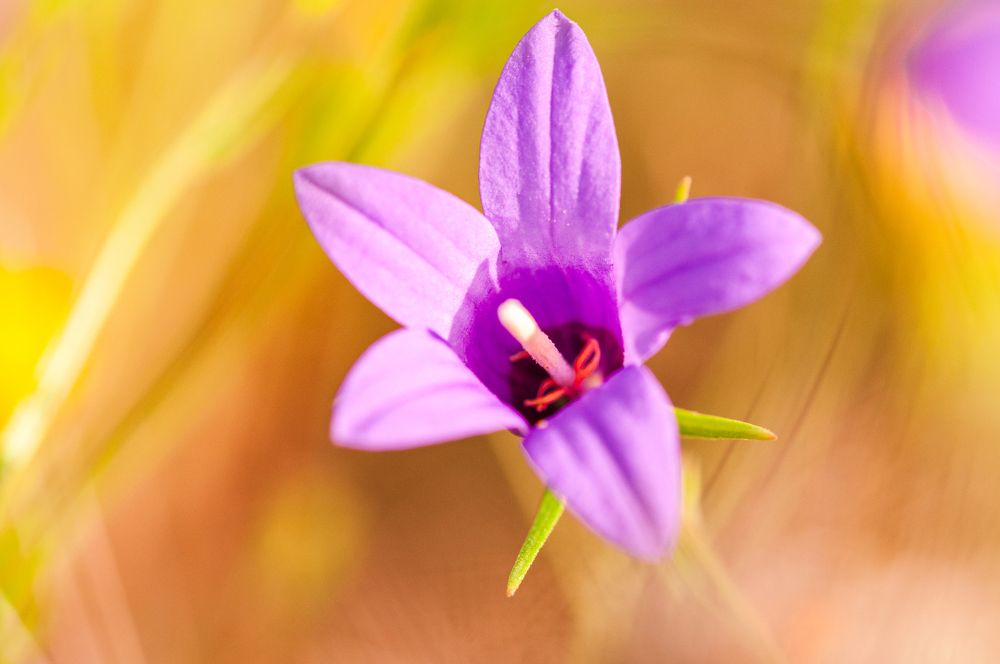 Photograph by Alberto