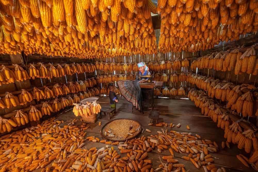 H'mong people often store agricultural products after harvest in separate stilt houses