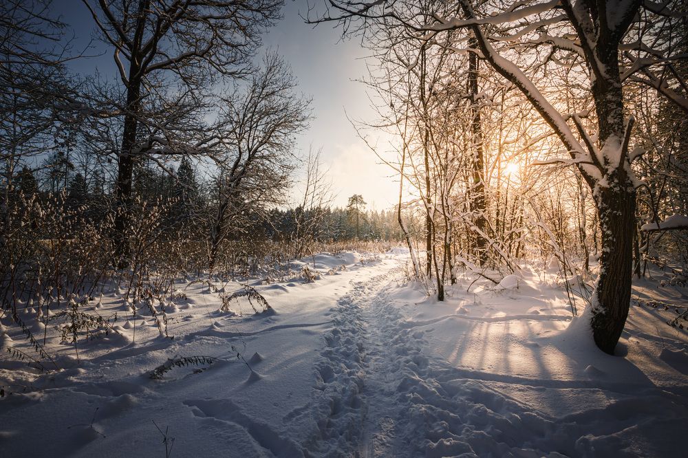 Photograph by Зеленько Дмитрий