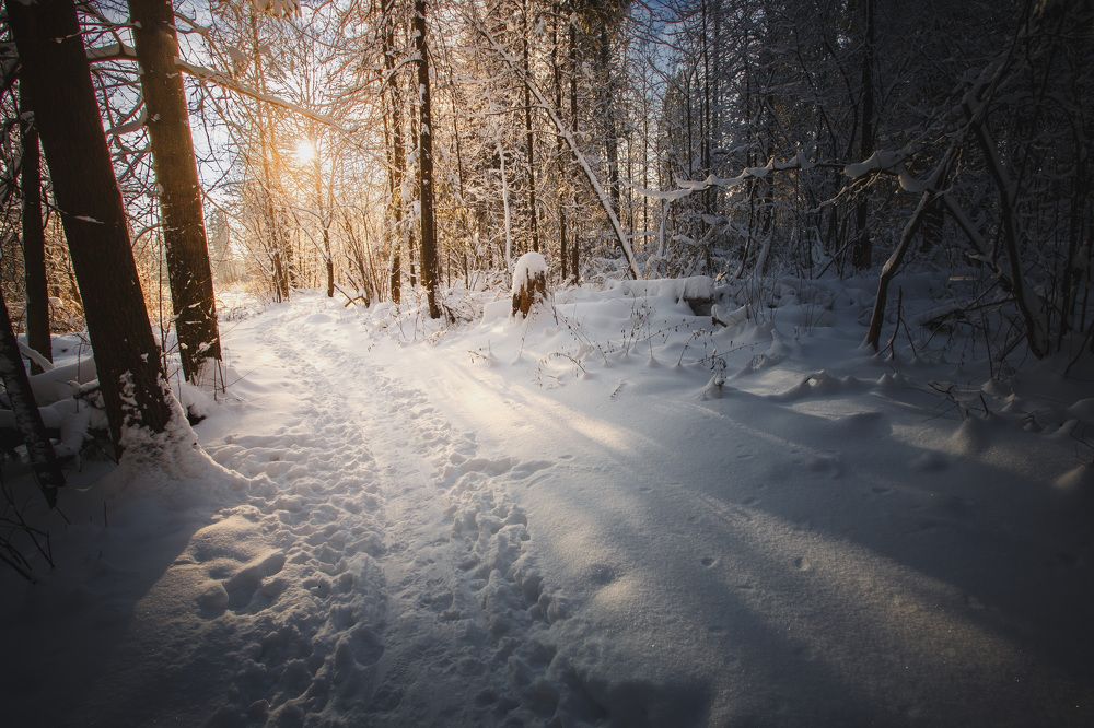Первый снег...