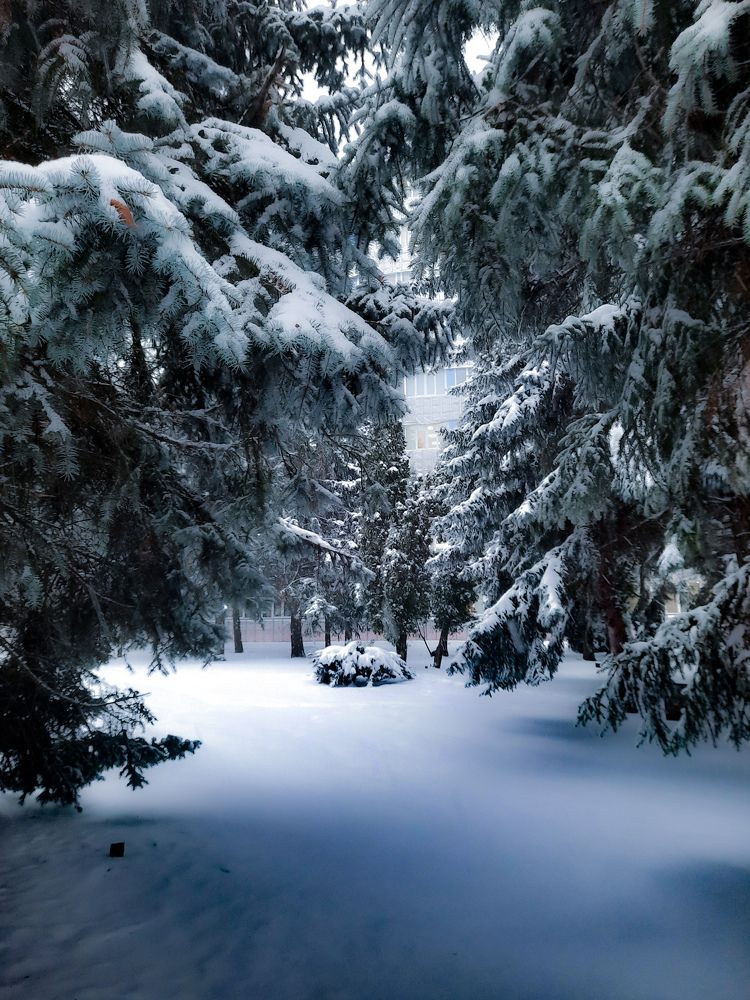 Фотография автора Irina Vornacheva