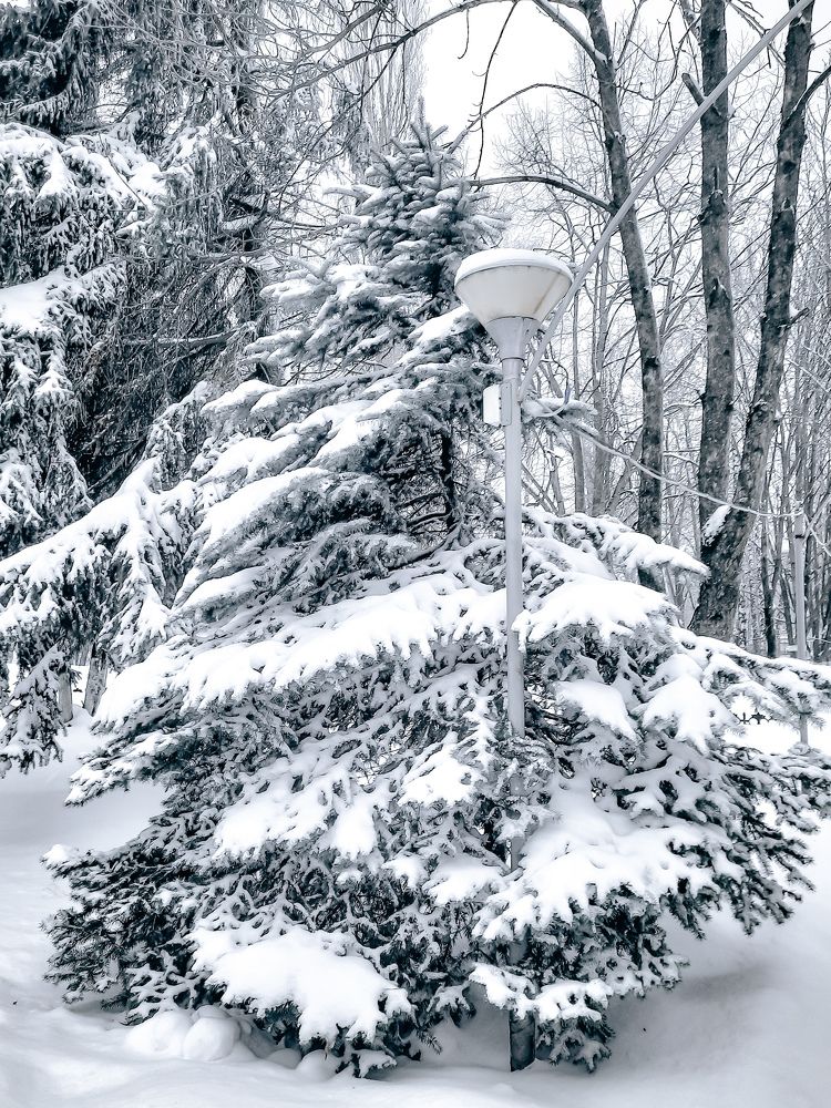 Фотография автора Irina Vornacheva