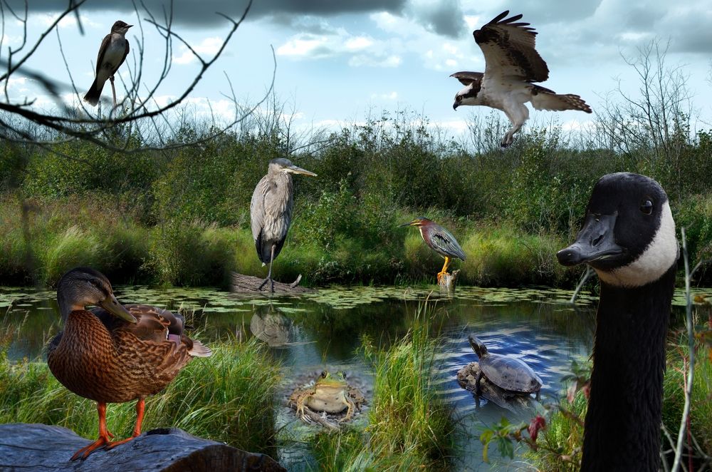 Photograph by Ken Oliver