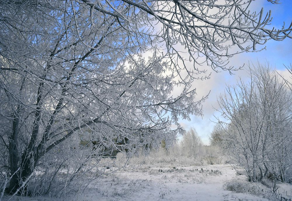 Photograph by Ирина Александрович