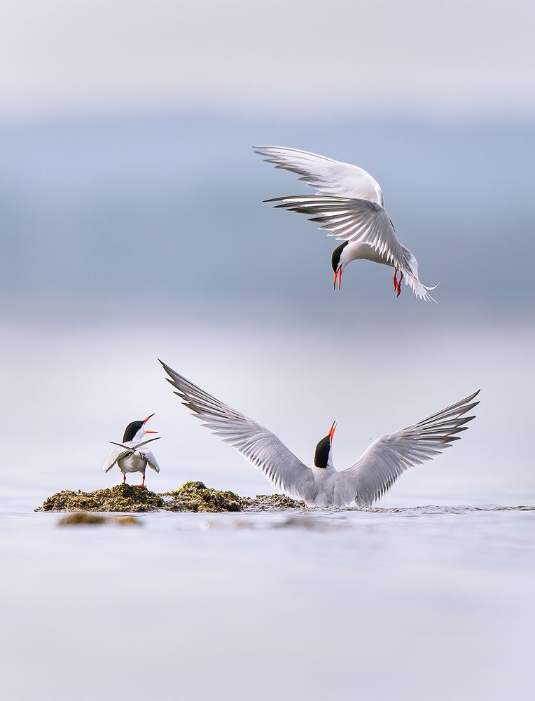 Photograph by Nipuna Madusanka