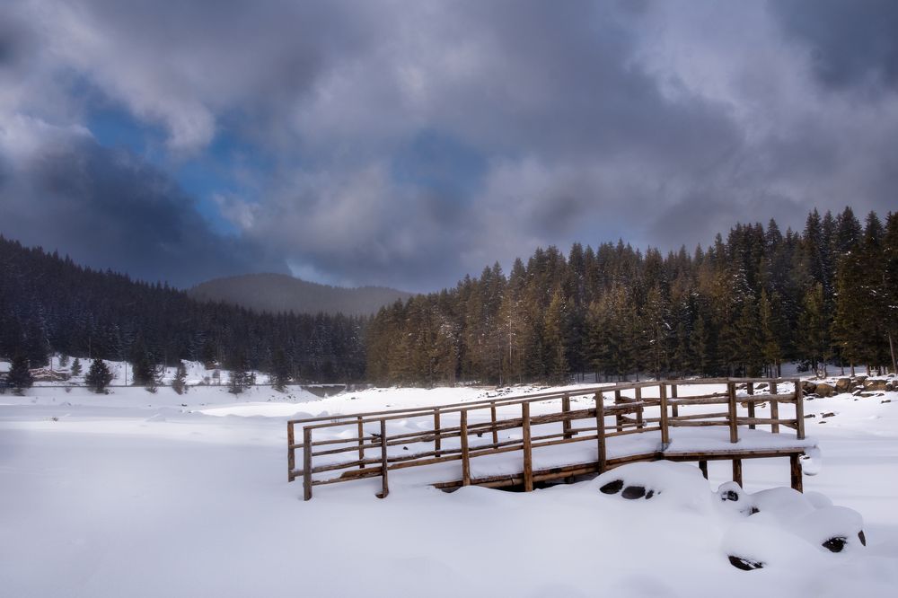 Photograph by Ivo Gerasimov