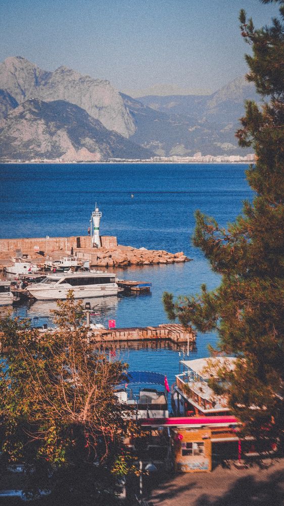 Photograph by Alp Aysgl