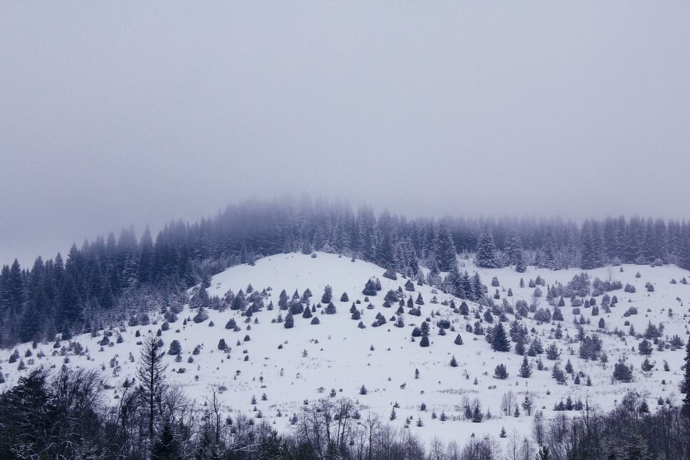 Photograph by Анастасия Астафьева