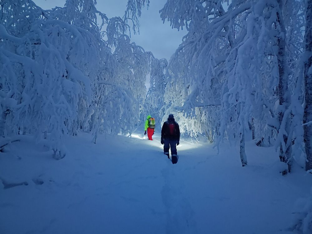 Photograph by Старцев Андрей