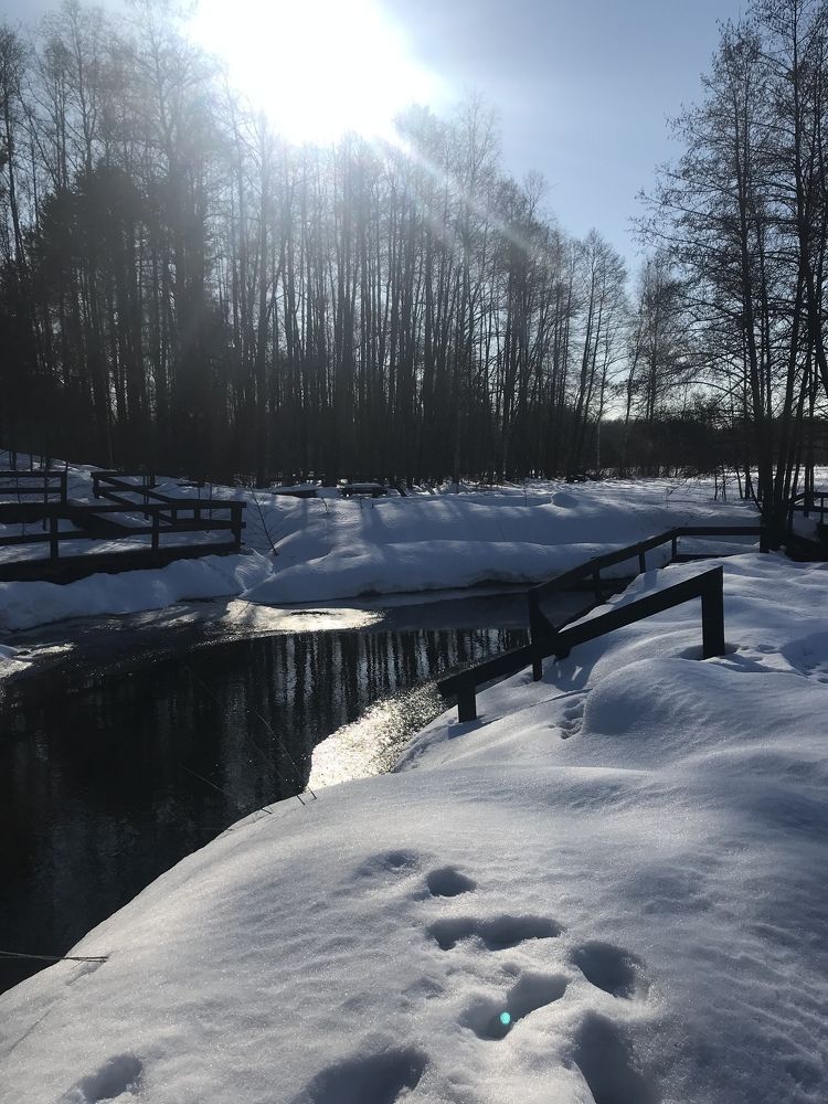 Photograph by Надежда