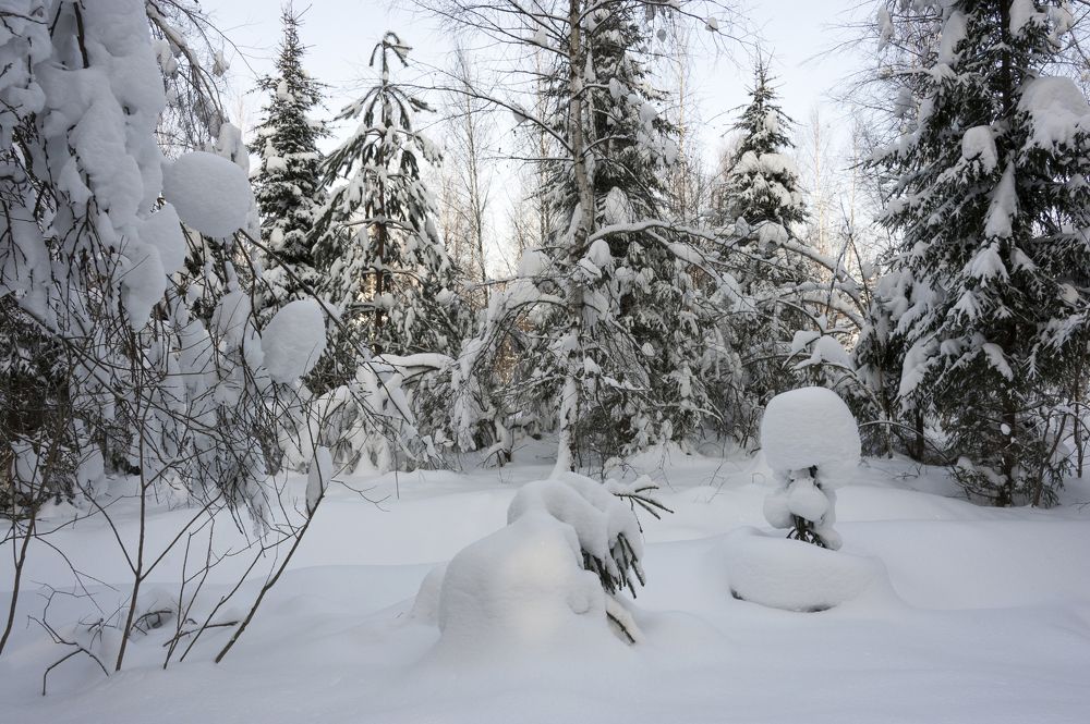 Photograph by Valery Kleymenov