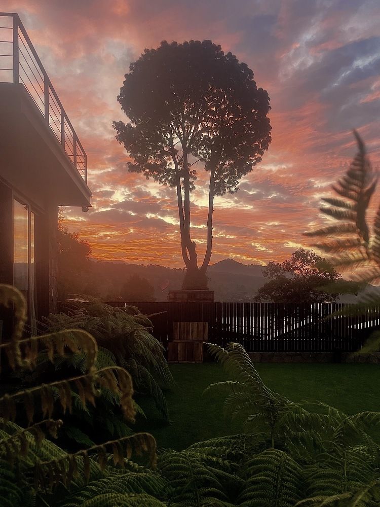 Photograph by Silvia Marcos