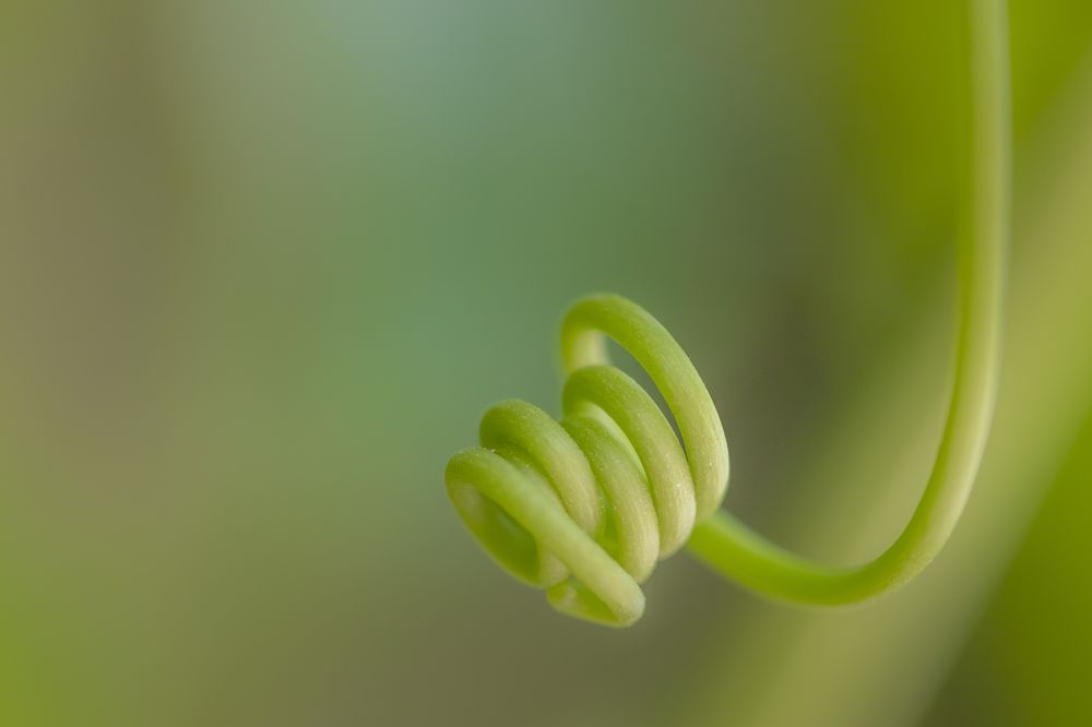 Фотография автора Nikolay Tatarchuk