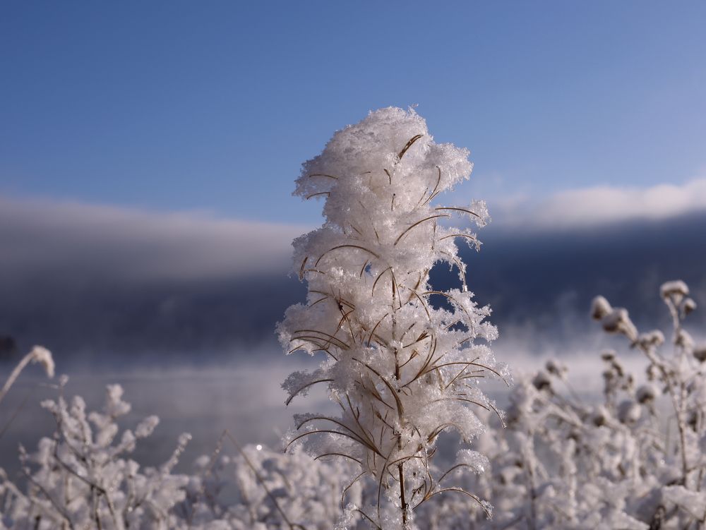 Photograph by Елена Шишкина