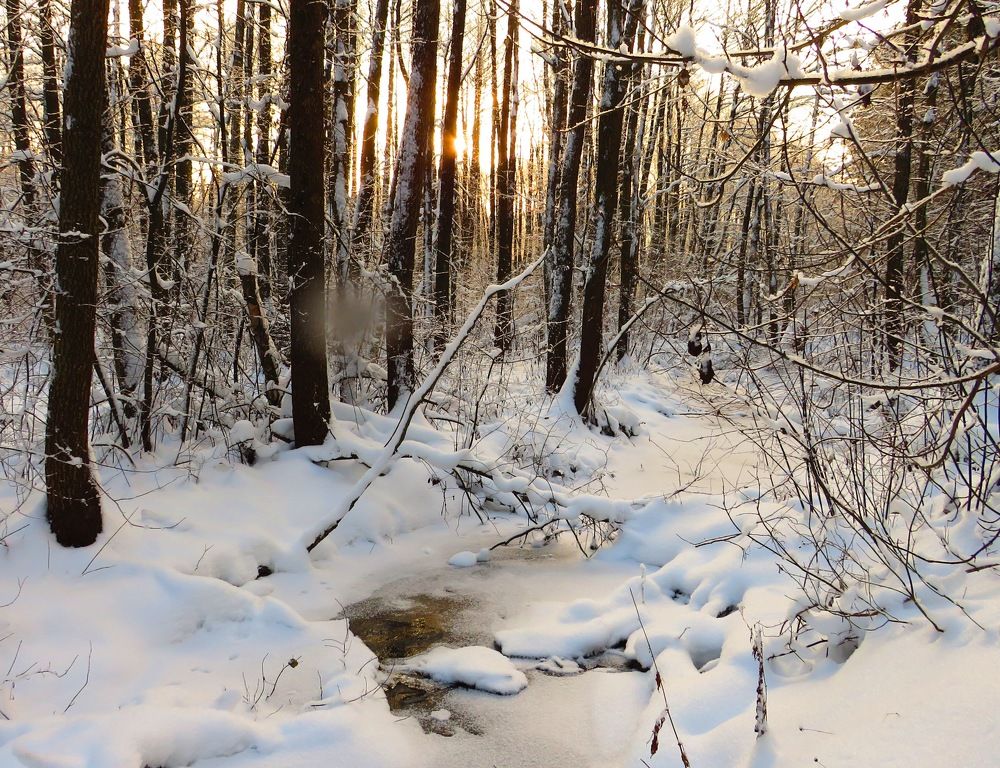 Ручей под снегом