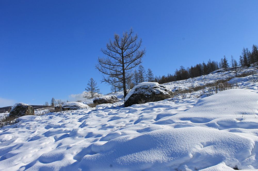 Фотография автора Ксения Осипова