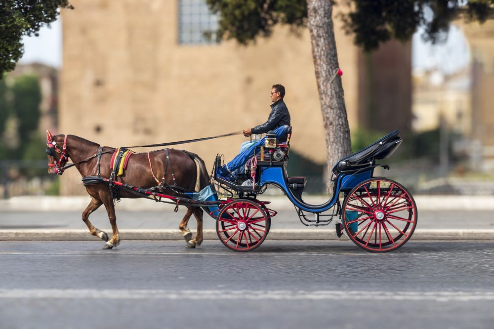 Фотография автора Nikolay Tatarchuk
