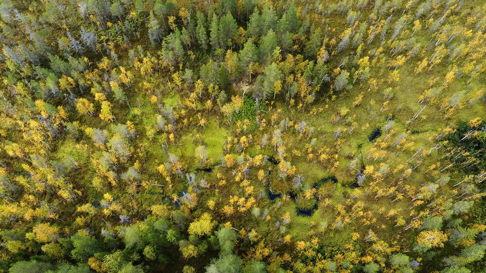 Photograph by Михаил Рассказ