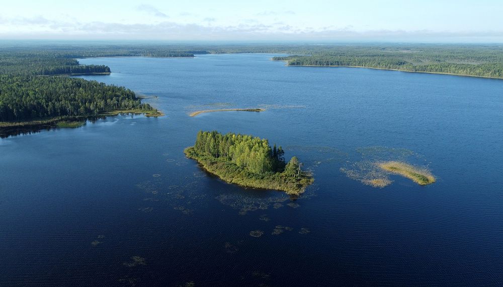 Photograph by Михаил Рассказ